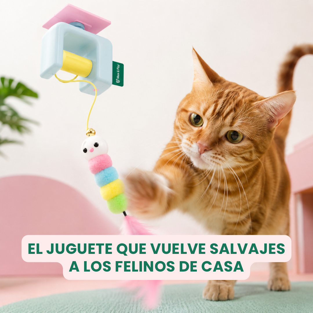 Cazador automático para gatos