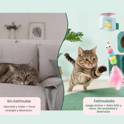 Cazador automático para gatos