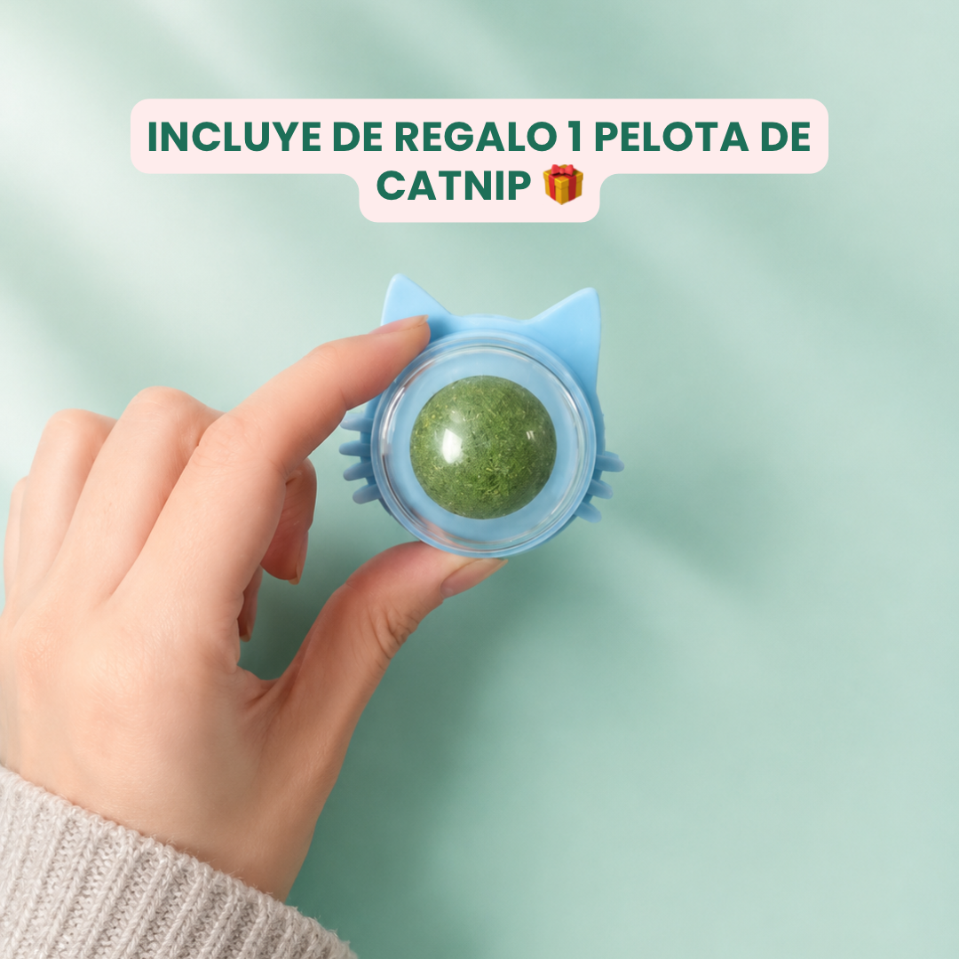 Cazador automático para gatos