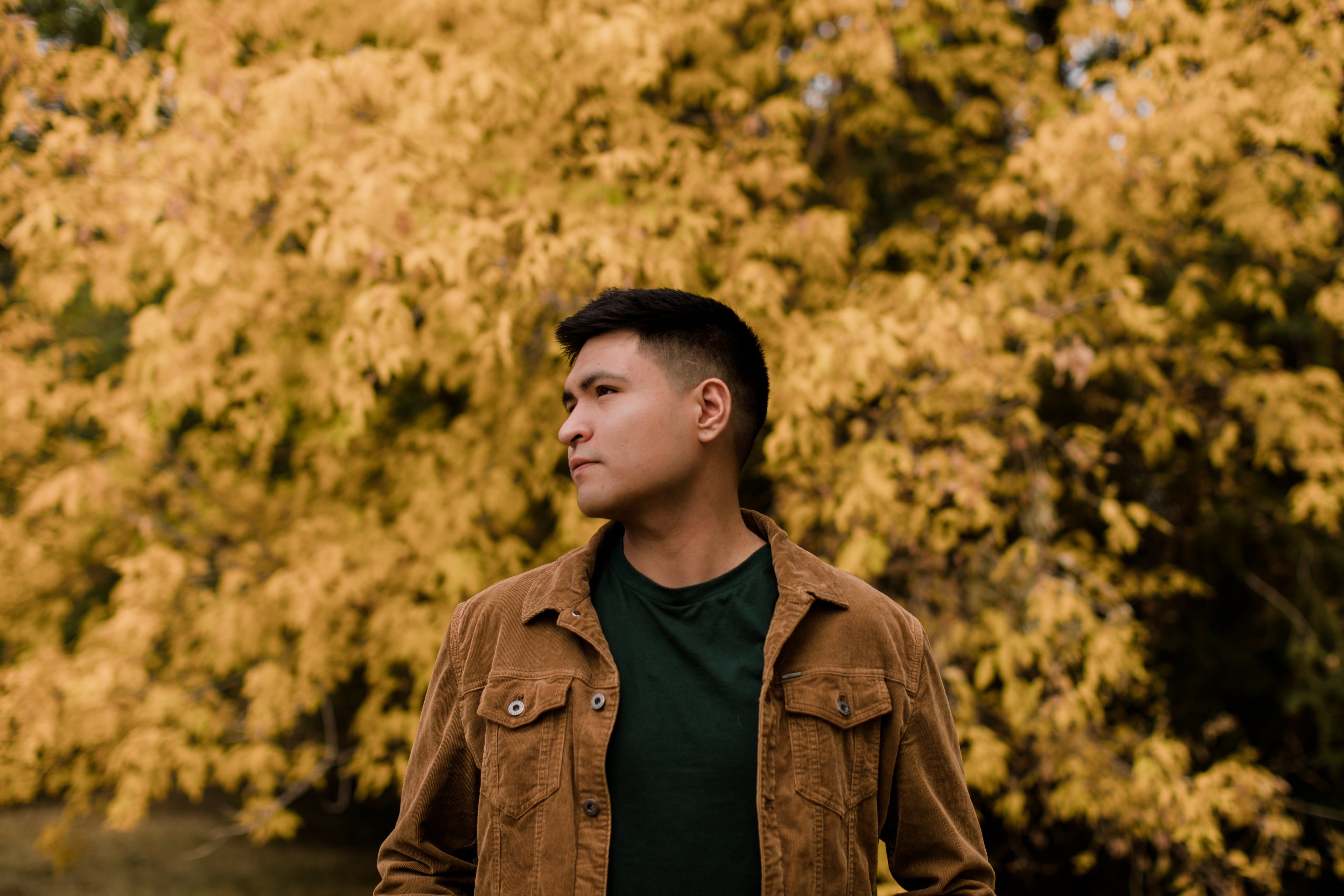 <em><strong>Alejandro P.</strong></em>